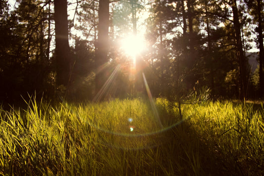 A Guide to Summer Skin Protection – Tips to Keep Your Glow Safe All Season Long