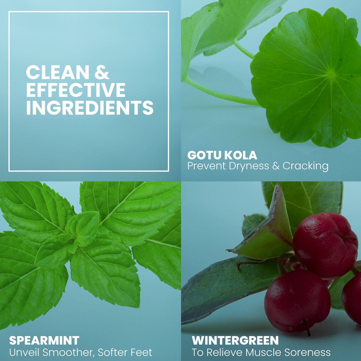 Tea Tree Foot Cream