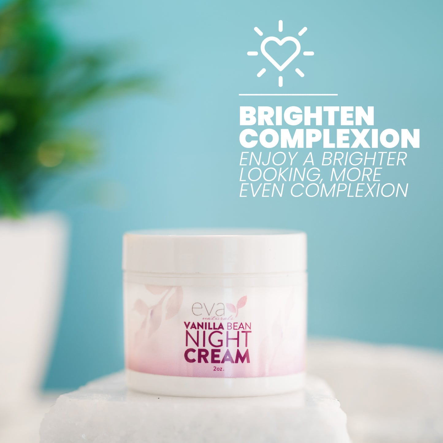 Vanilla Bean Night Cream Face Moisturizer - 2 oz