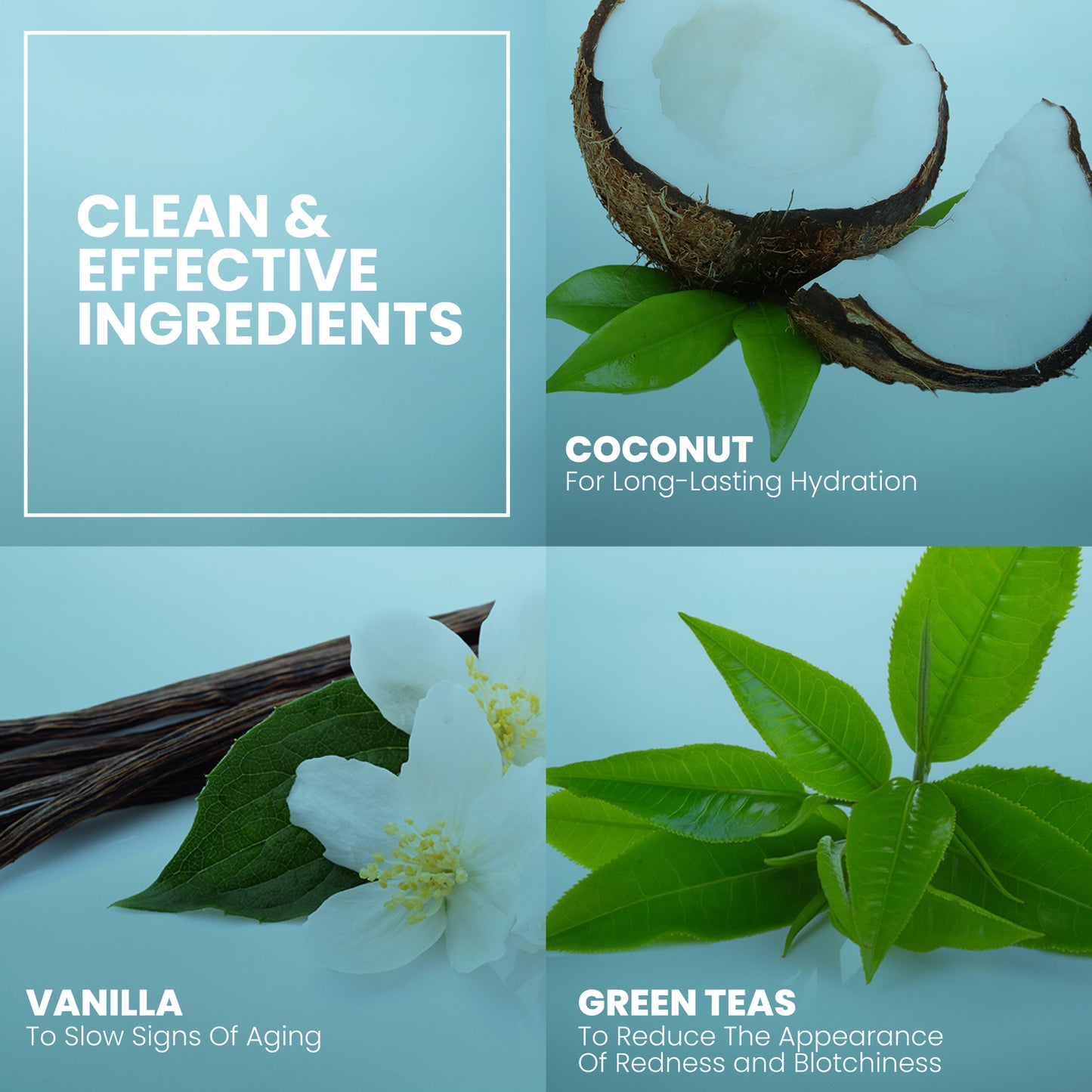 Vanilla Bean Night Cream Face Moisturizer - 2 oz