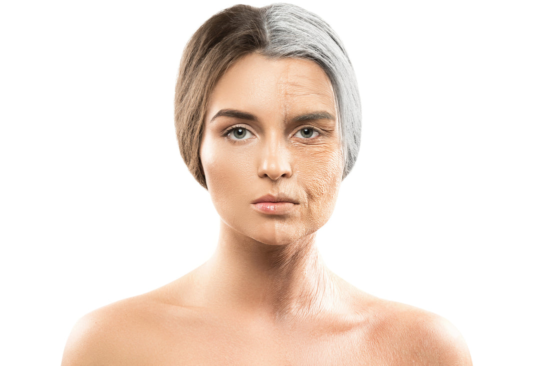 The 5 Best Anti Aging Ingredients to Look for in Skin Care Products