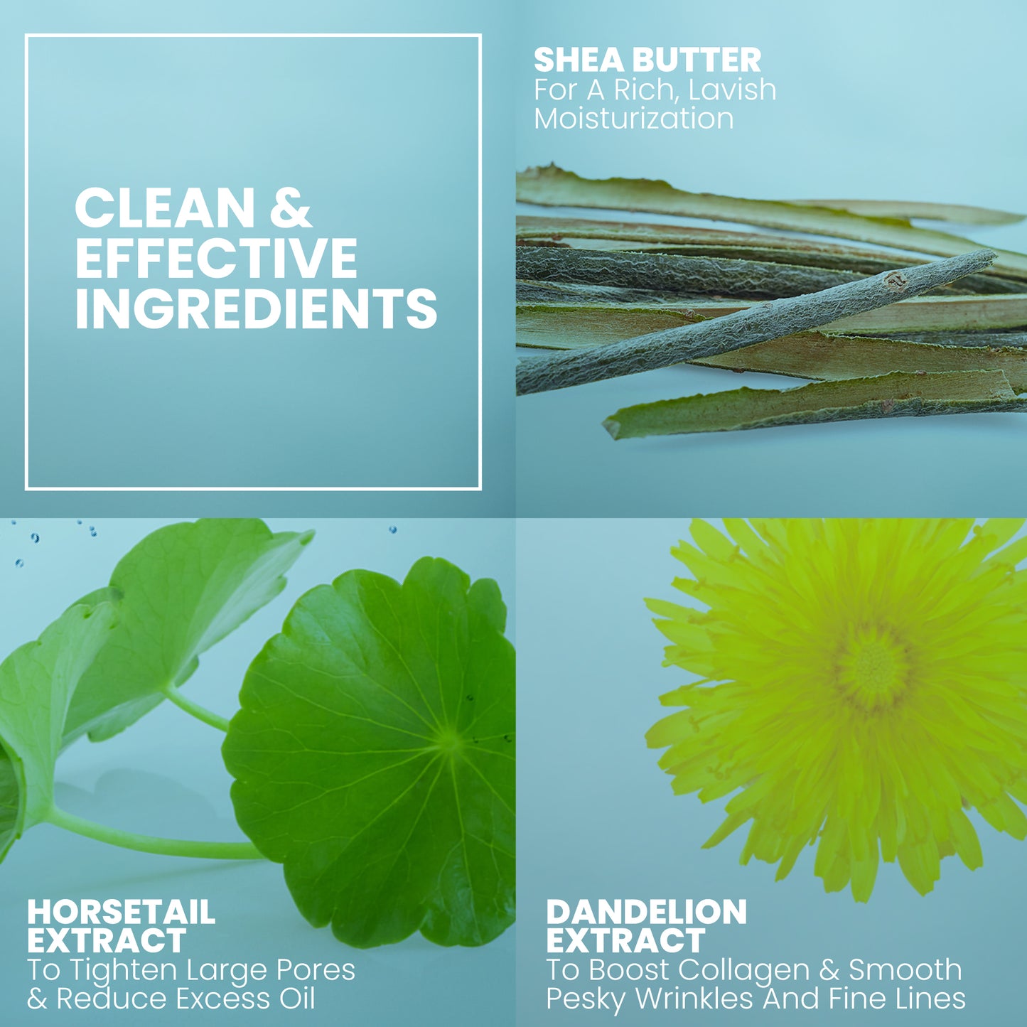 Exfoliating Facial Scrub - 2 oz