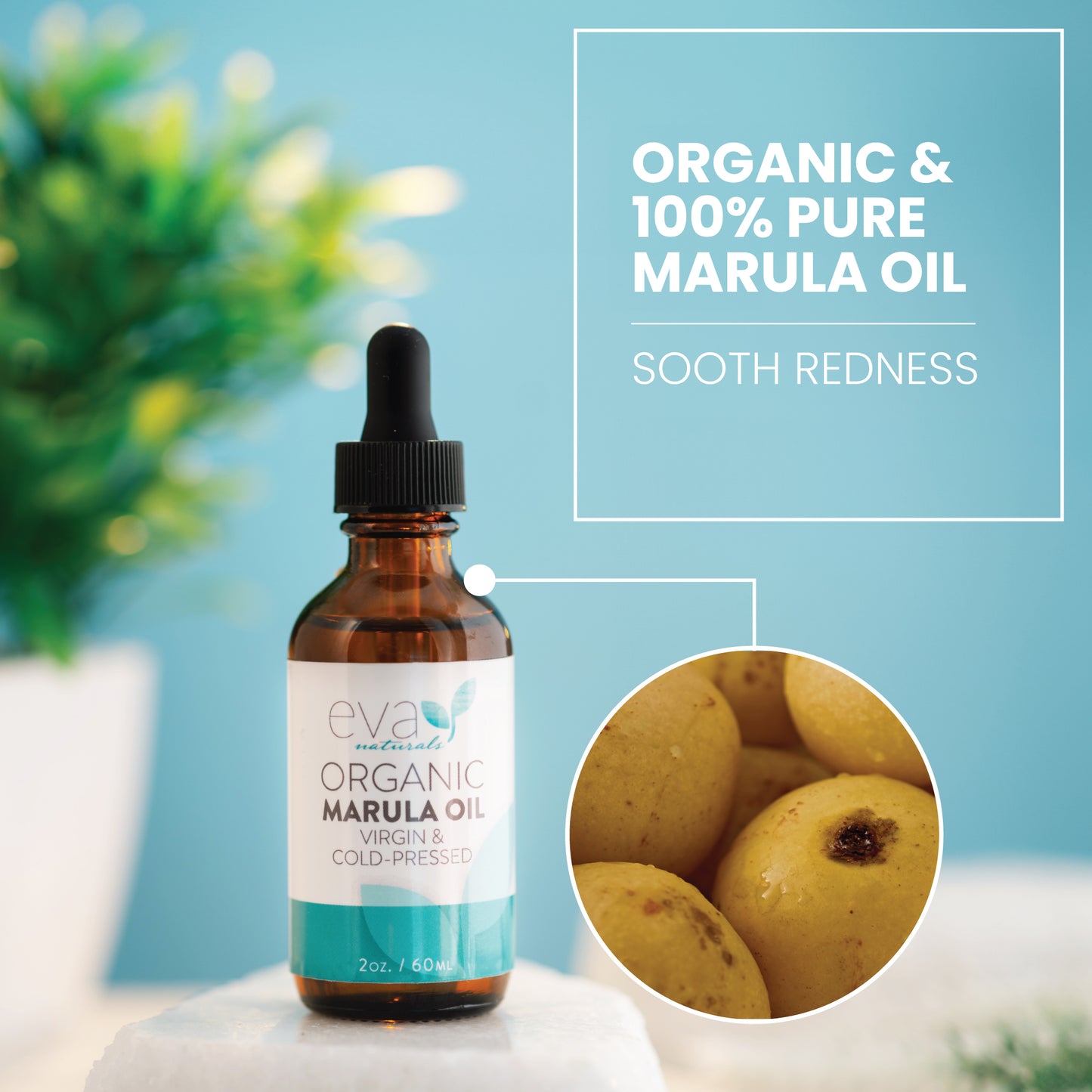 Organic Marula Oil for Face and Hair - 2 oz
